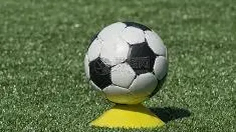 中国双金闪耀，米兰征程何方？