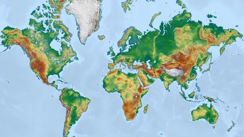 1.7亿高价球衣成交，体育粉丝解锁财富新途径！